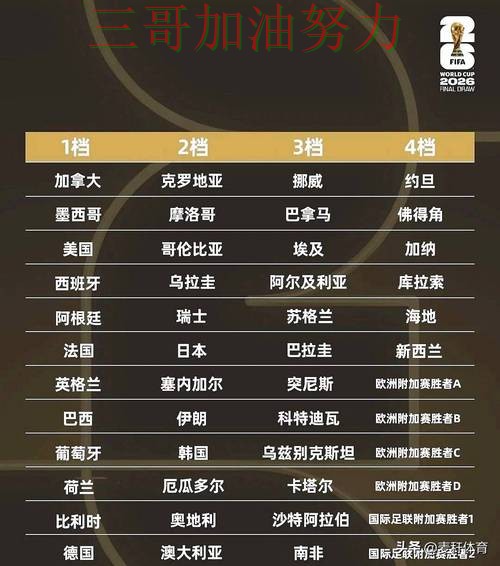 世界杯投注平台哪个好指南：实测对比全流程解析（2026世界杯）